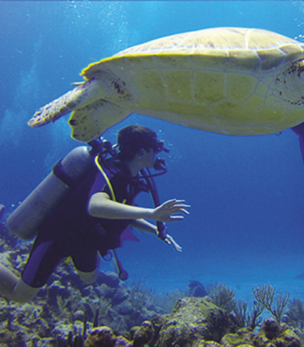 sbart scuba sbart scuba